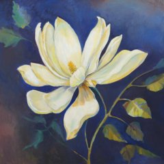 Magnolien | Öl auf Leinwand | 80 x 80 cm Katalog-Nr.: 249
Magnolien | Öl auf Leinwand | 80 x 80 cm Katalog-Nr.: 249