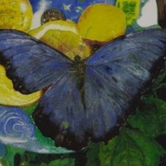 Butterfly (Schmetterling) | Acryl auf Leinwand | 80 x 60 cm | Katalog-Nr.: 169