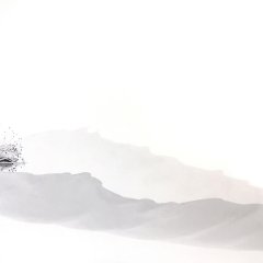 Blüte des Taschentuchbaums | Fotografie | 120 x 60 cm | Katalog-Nr.: 037
Blüte des Taschentuchbaums | Fotografie | 120 x 60 cm | Katalog-Nr.: 037