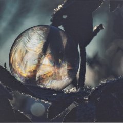 Eisseifenblase | Fotografie | 40 x 60 cm | Katalog-Nr. 221