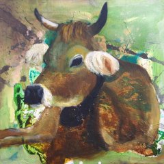 Kuh liegend | Öl auf Acryl (Leinwand) | 70 x 70 cm | Katalog-Nr.: 80 Kuh liegend | Öl auf Acryl (Leinwand) | 70 x 70 cm | Katalog-Nr.: 80