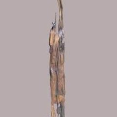 Skulptur | Ohne Titel | Eiche-Stahl, lasiert | 210 cm | Katalog-Nummer: 405