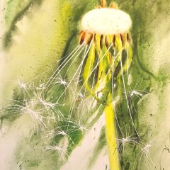 
Löwenzahn | Acryl auf Leinwand | 100 x 70 cm | Katalog-Nr.. 133

