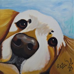 Spaniel | Acryl/Spachtel auf Leinwand | 80 x 80 cm | Katalog-Nr.: 324