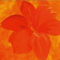 Amaryllis | 100 x 80 cm | Acryl auf Leinwand | Katalog-Nummer: 437