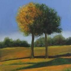 Bäume im Herbst | Öl auf Leinwand | 80 x 80 cm | Katalog-Nr: 359